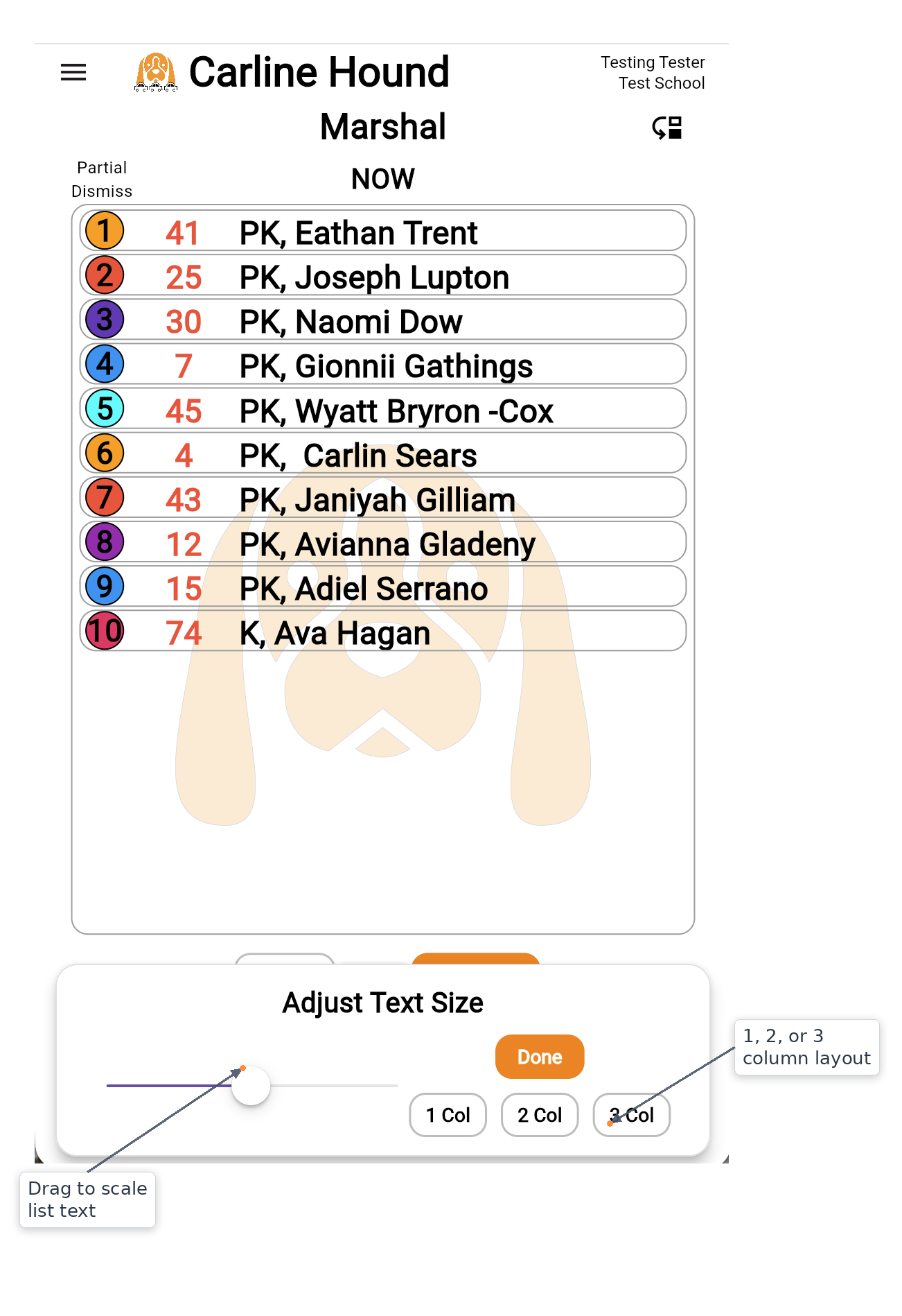Adjust text size and columns